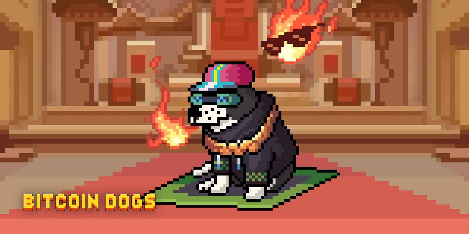 Bitcoin Dogs Content Media Bank